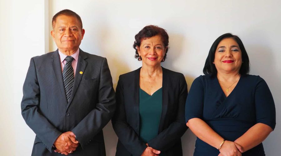 comisión organizadora